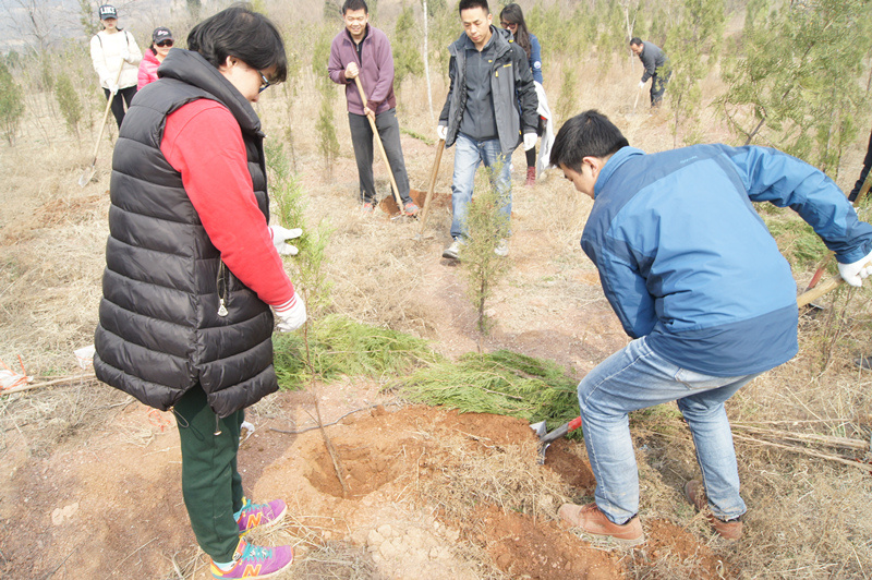 公司黨支部參加由鄭州市綠化委組織的義務植樹活動