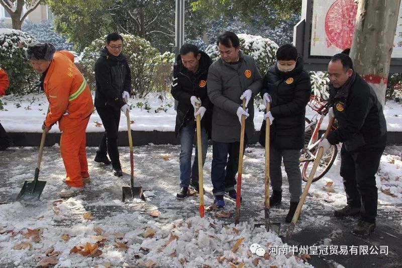 支部公益助力環衛丨全員合力清積雪，天冷情暖保暢通